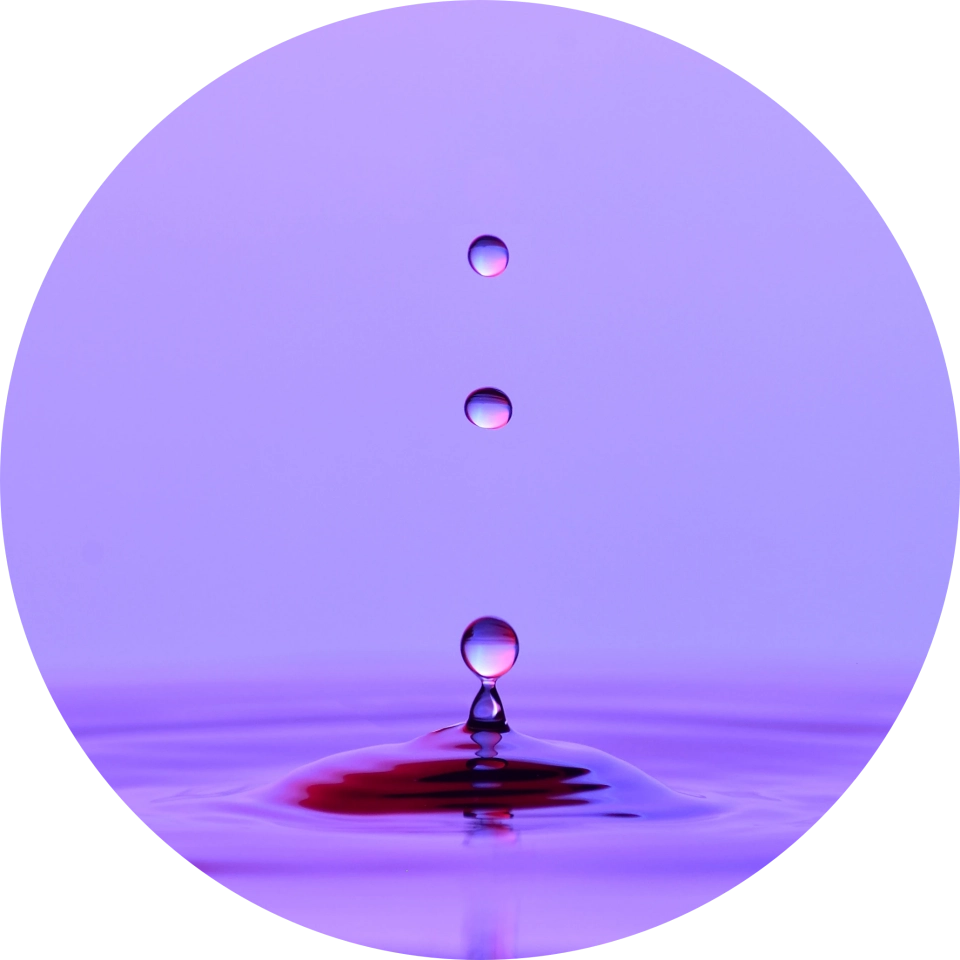 Excellence in Every Detail - Content Production